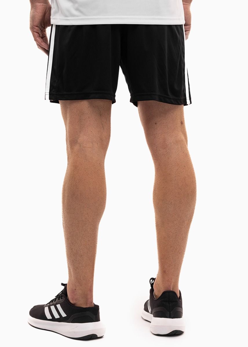 adidas Sport-Set T-shirt Kurze Hose Squadra 21 Jersey Short Sleeve GN5726/GN5776 adidas Sport-Set T-shirt Kurze Hose Squadra 21 Jersey Short Sleeve GN5726/GN5776
