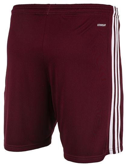 adidas Sport-Set T-shirt Kurze Hose Squadra 21 Jersey Short Sleeve GN8091/GN8083