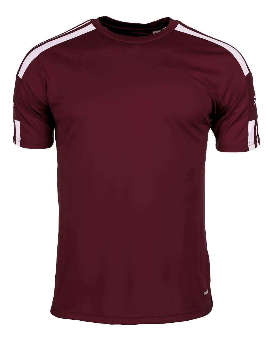 adidas Sport-Set T-shirt Kurze Hose Squadra 21 Jersey Short Sleeve GN8091/GN8083
