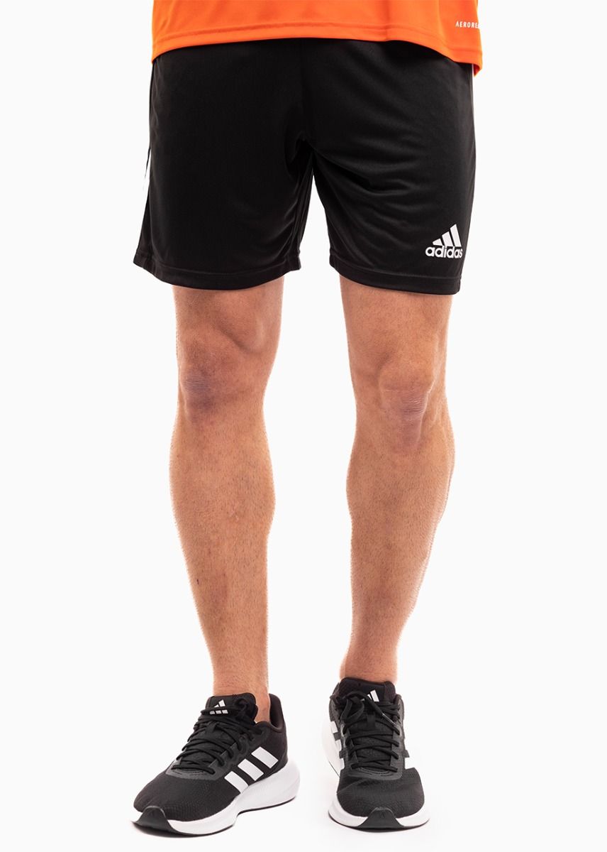 adidas Sport-Set T-shirt Kurze Hose Squadra 21 Jersey Short Sleeve GN8092/GN5776 adidas Sport-Set T-shirt Kurze Hose Squadra 21 Jersey Short Sleeve GN8092/GN5776