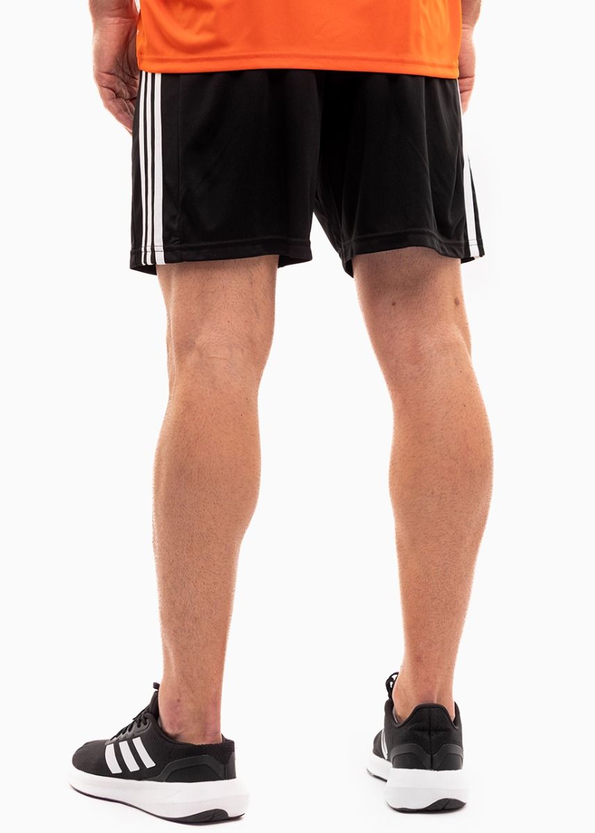 adidas Sport-Set T-shirt Kurze Hose Squadra 21 Jersey Short Sleeve GN8092/GN5776 adidas Sport-Set T-shirt Kurze Hose Squadra 21 Jersey Short Sleeve GN8092/GN5776