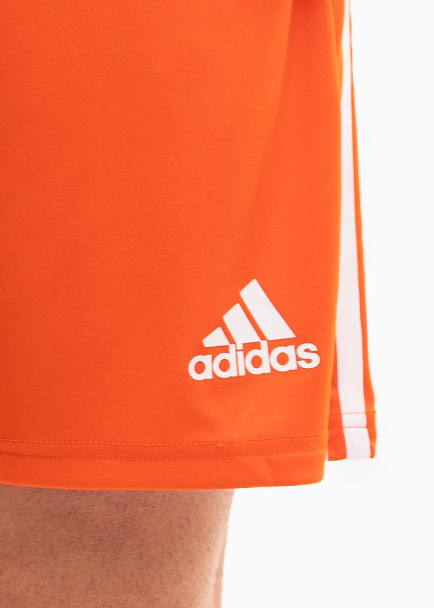 adidas Sport-Set T-shirt Kurze Hose Squadra 21 Jersey Short Sleeve GN8092/GN8084 adidas Sport-Set T-shirt Kurze Hose Squadra 21 Jersey Short Sleeve GN8092/GN8084