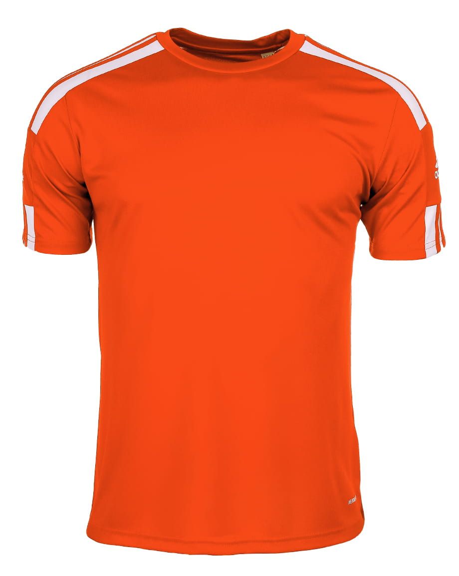 adidas Sport-Set T-shirt Kurze Hose Squadra 21 Jersey Short Sleeve GN8092/GN8084