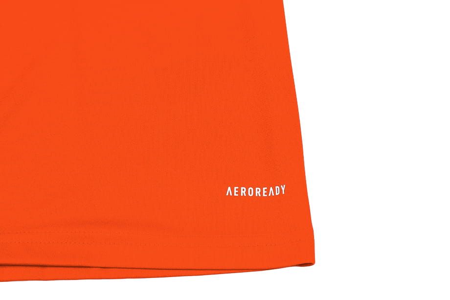 adidas Sport-Set T-shirt Kurze Hose Squadra 21 Jersey Short Sleeve GN8092/GN8084