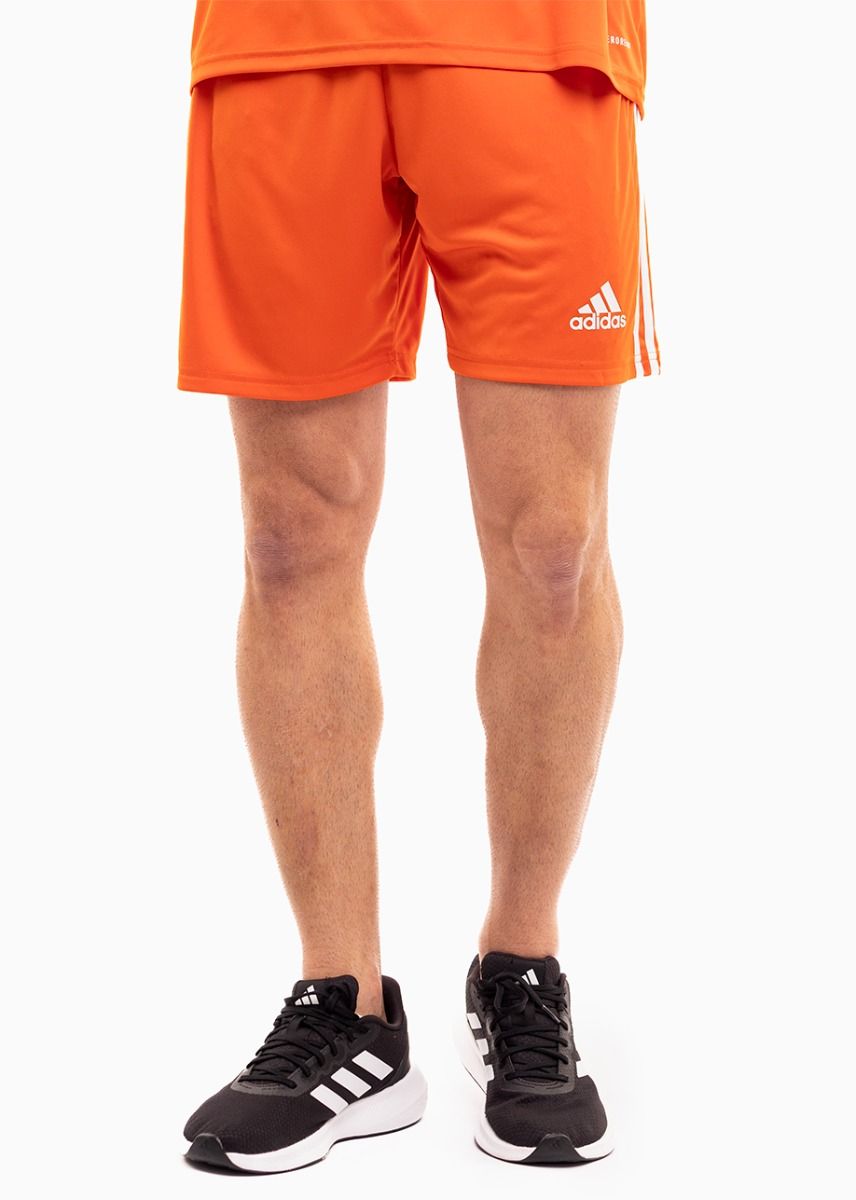 adidas Sport-Set T-shirt Kurze Hose Squadra 21 Jersey Short Sleeve GN8092/GN8084 adidas Sport-Set T-shirt Kurze Hose Squadra 21 Jersey Short Sleeve GN8092/GN8084