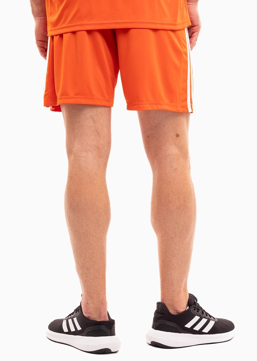 adidas Sport-Set T-shirt Kurze Hose Squadra 21 Jersey Short Sleeve GN8092/GN8084 adidas Sport-Set T-shirt Kurze Hose Squadra 21 Jersey Short Sleeve GN8092/GN8084