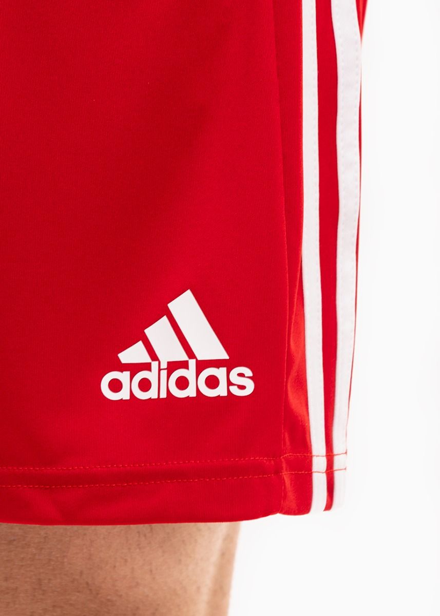 adidas Sport-Set T-shirt Kurze Hose Squadra 21 Polo GP6429/GN5771