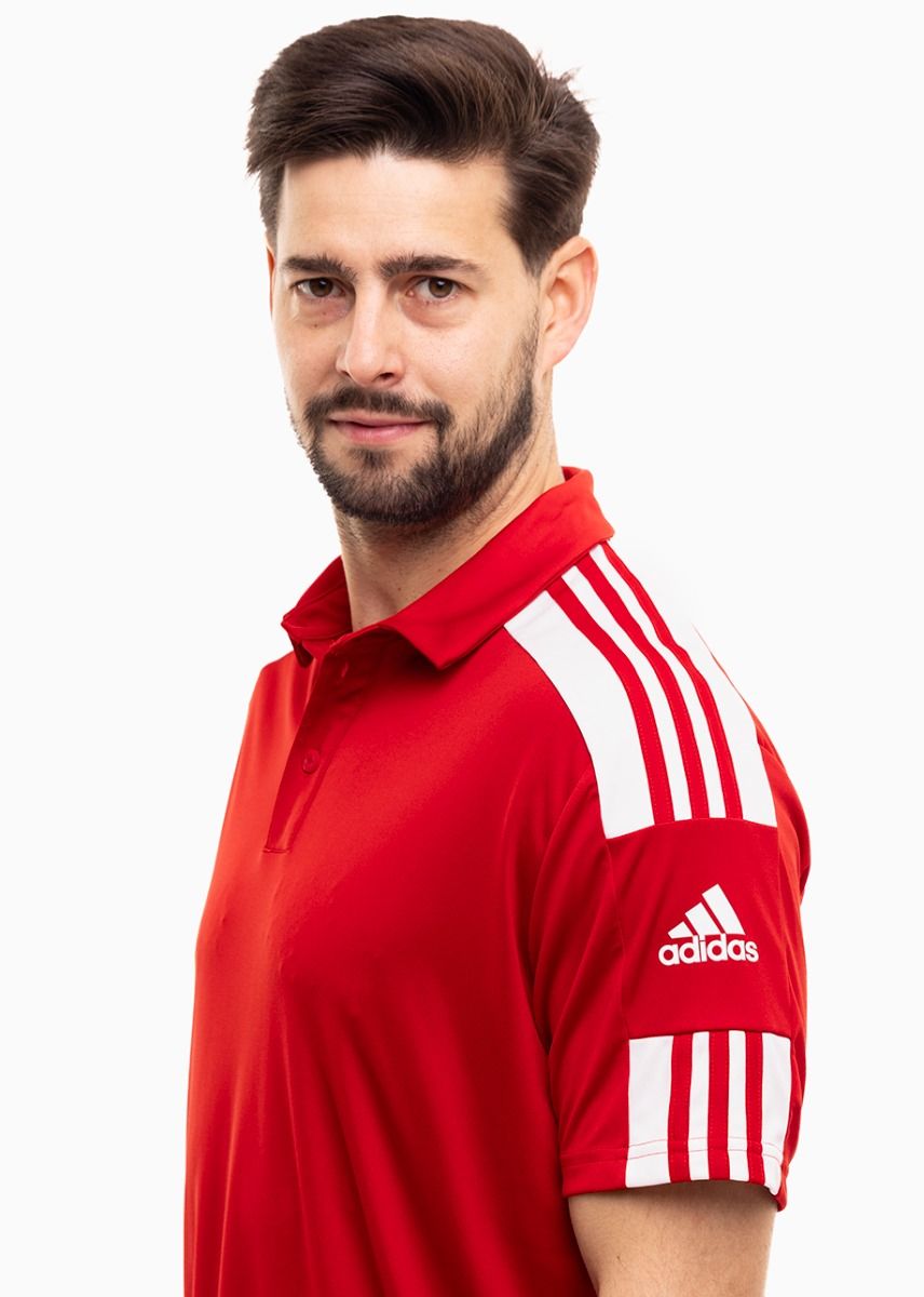 adidas Sport-Set T-shirt Kurze Hose Squadra 21 Polo GP6429/GN5771