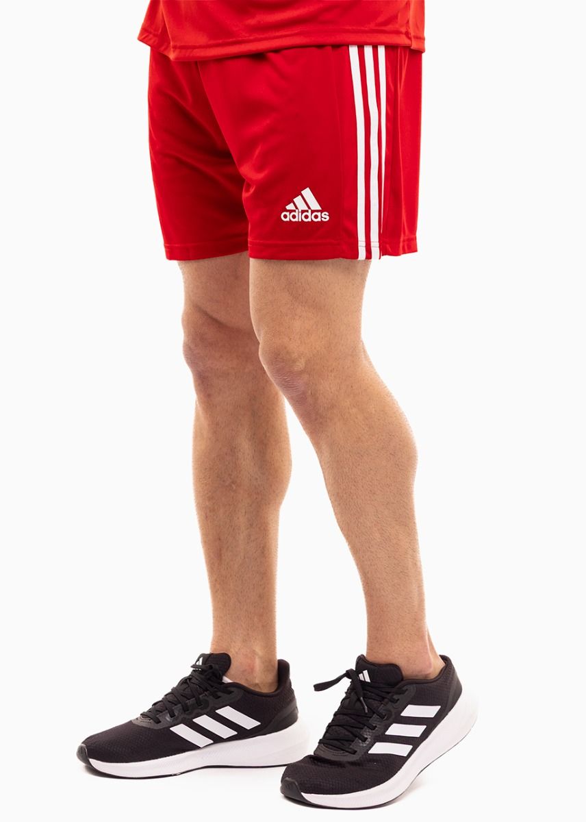 adidas Sport-Set T-shirt Kurze Hose Squadra 21 Polo GP6429/GN5771