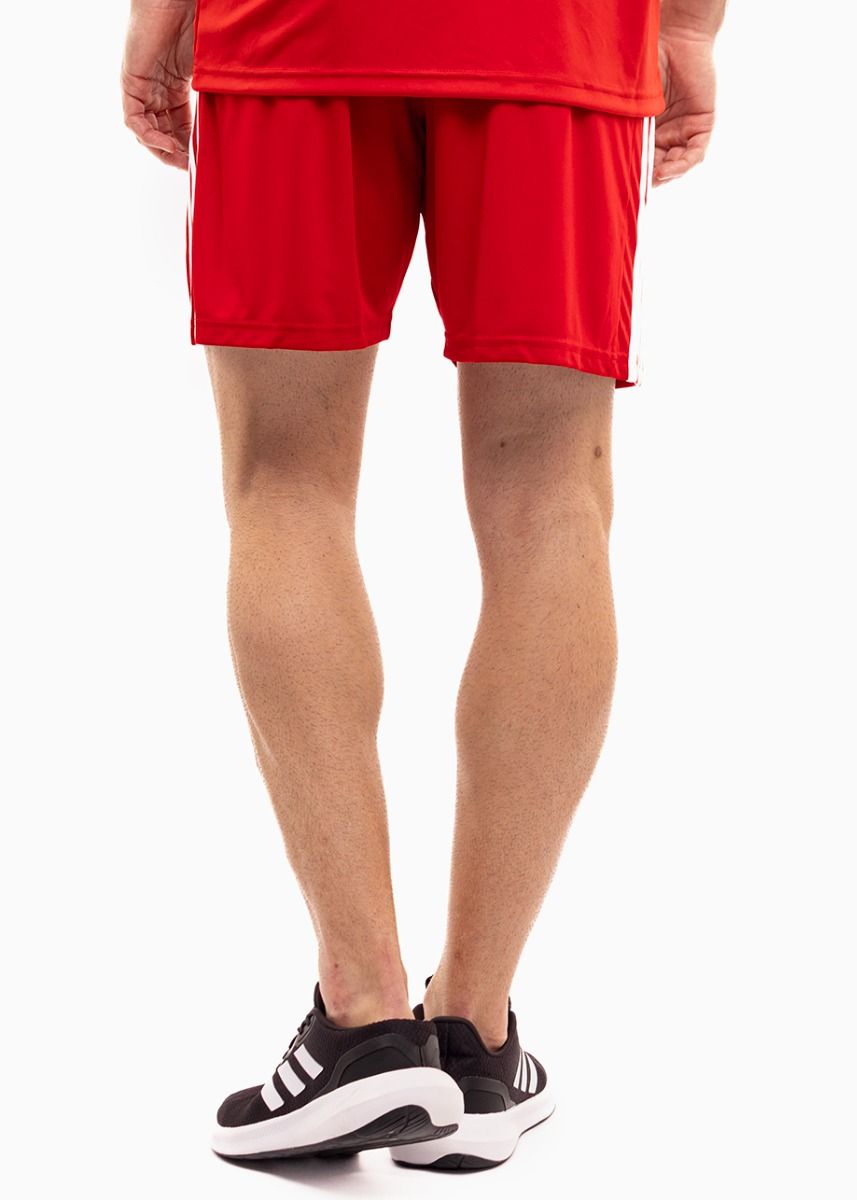 adidas Sport-Set T-shirt Kurze Hose Squadra 21 Polo GP6429/GN5771