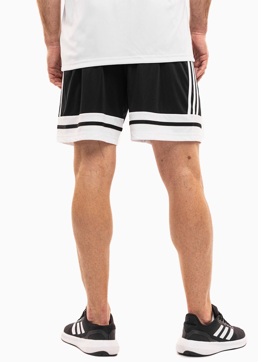 adidas Herren Sport Set Squadra 25 JG5834/JH3402