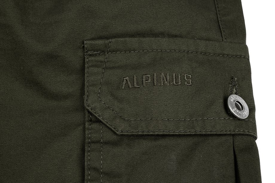Alpinus Herren-Shorts Hekla SI18154