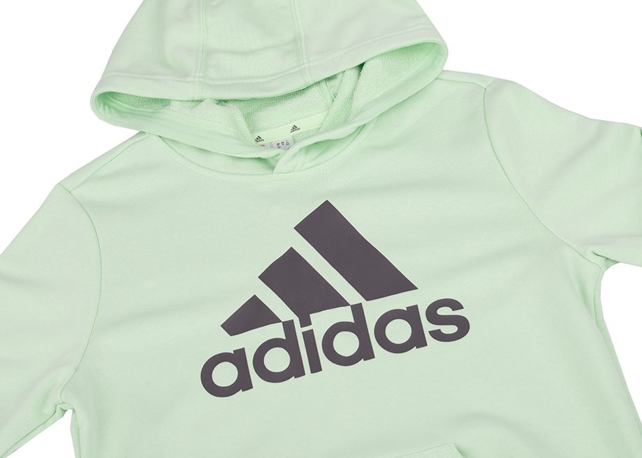 adidas Kinder Kapuzenpullover Big Logo Essentials Cotton Hoodie IS2591