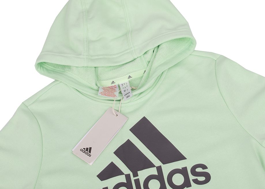 adidas Kinder Kapuzenpullover Big Logo Essentials Cotton Hoodie IS2591