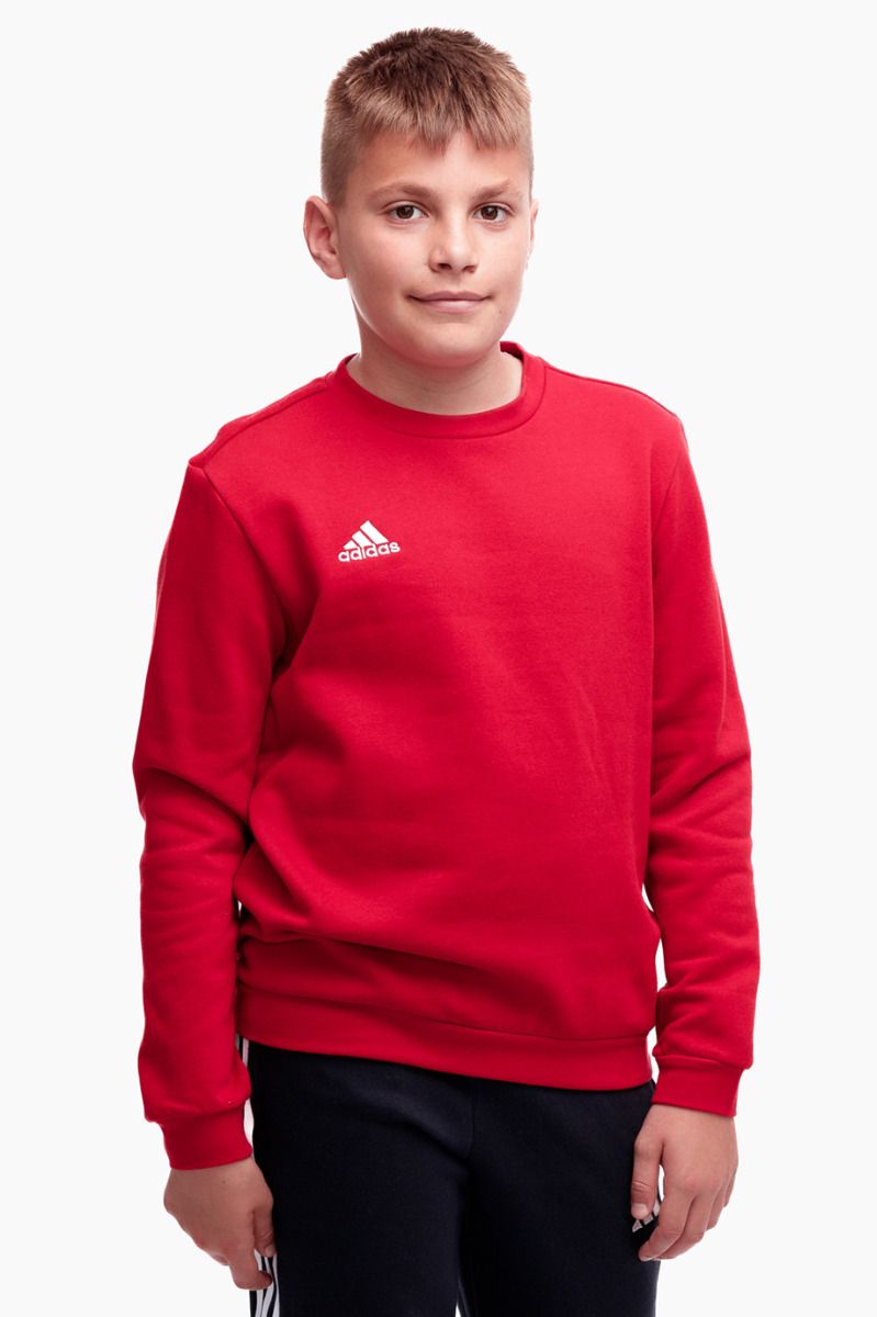 adidas Kinder Sweatshirt Entrada 22 Sweat Top H57473