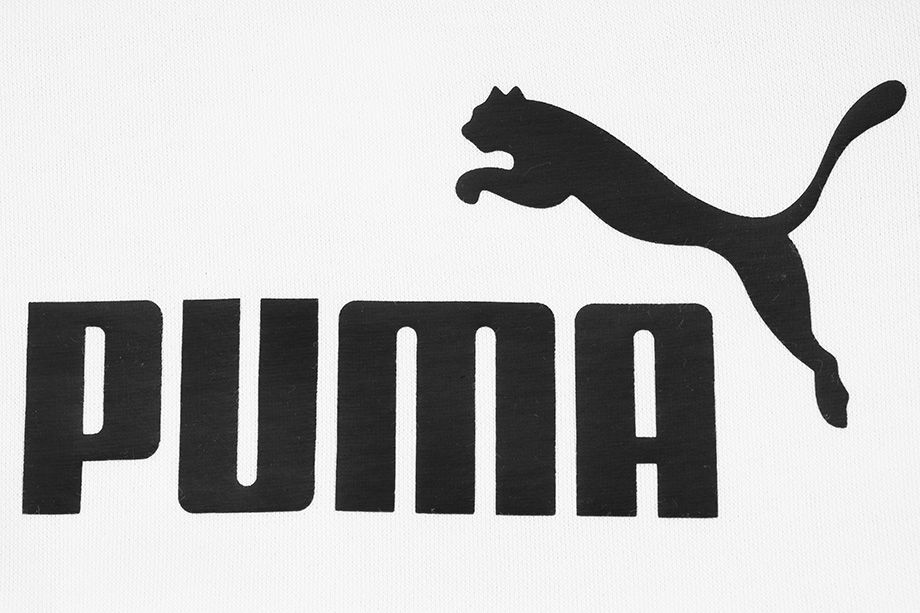 PUMA Kinder Kapuzenpullover ESS Block Hoodie FL B 849081 01 PUMA Kinder Kapuzenpullover ESS Block Hoodie FL B 849081 01