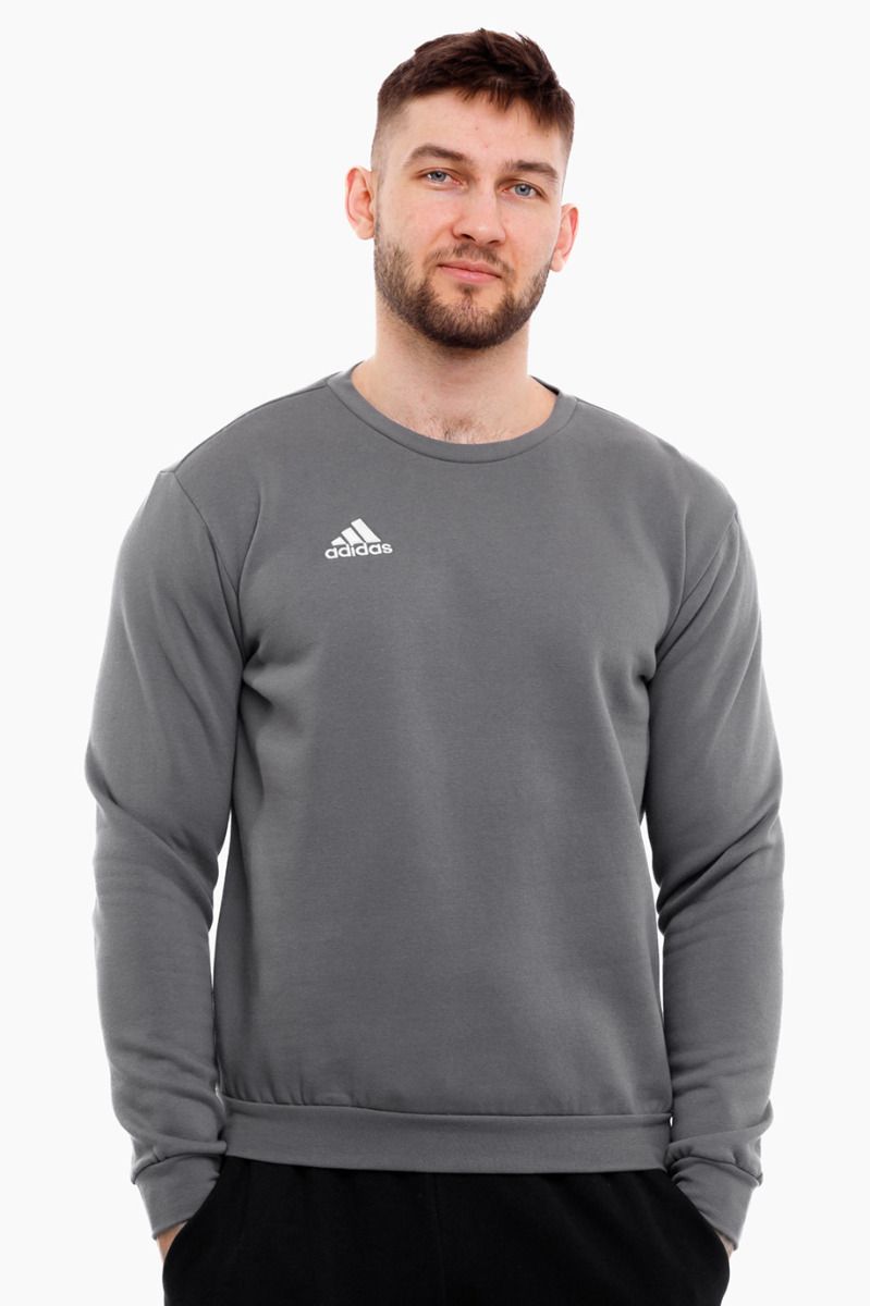 adidas Herren Hoodie Entrada 22 Sweatshirt Top H57479