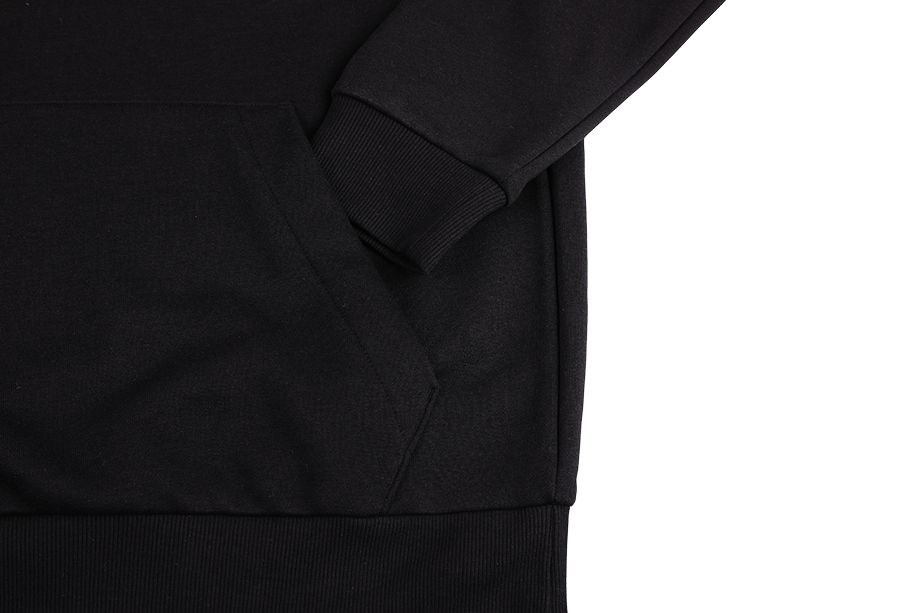 adidas Herren Sweatshirt Essentials Fleece Big Logo Hoodie GK9220