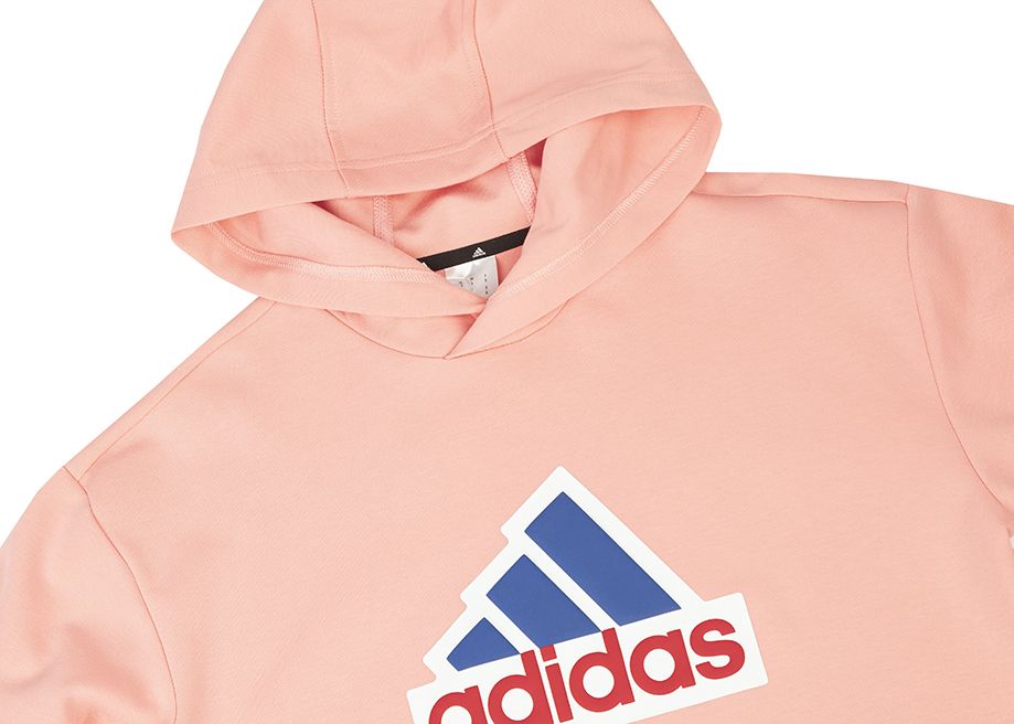 adidas Herren Kapuzenpullover FI BOS HD OLY IS9597