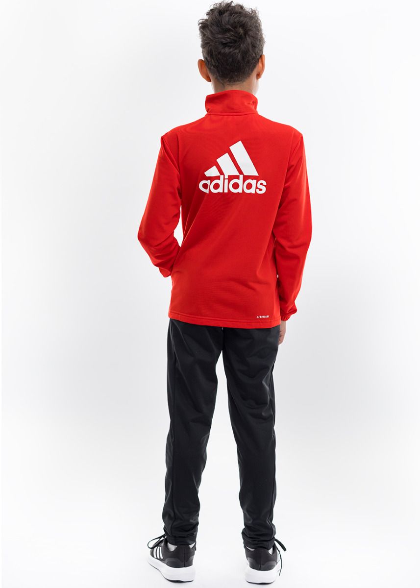 adidas Kinder Trainingsanzug Essentials Big Logo Track Suit IJ6305