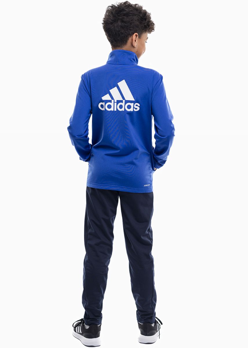 adidas Kinder Trainingsanzug Essentials Big Logo Track Suit HR6408
