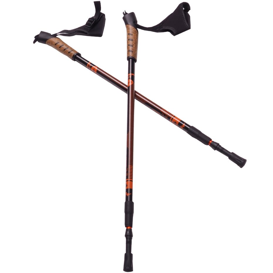 Bjorn Nordic-Walking-Stöcke Scout K2973