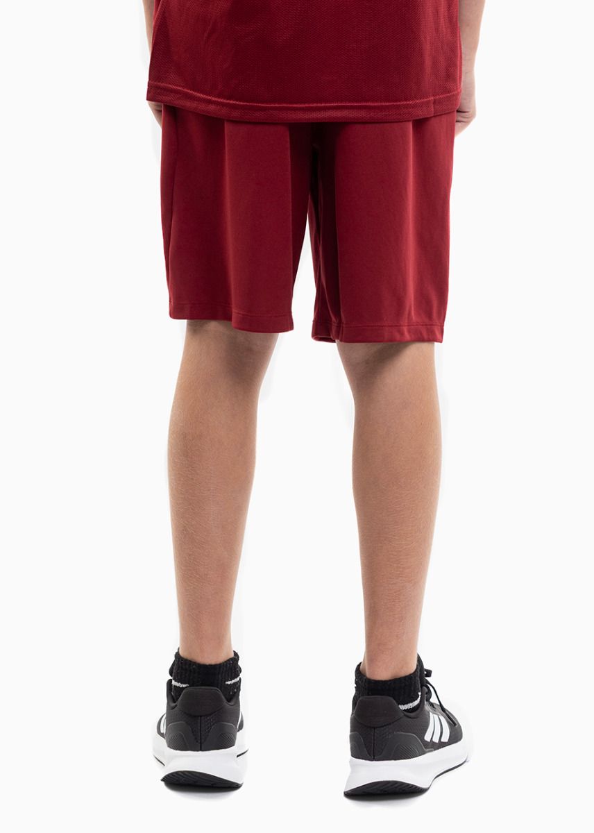 Nike Kinder Sport-Set T-shirt Kurze Hose Dry Park VII JSY SS BV6741 677/BV6865 677 Nike Kinder Sport-Set T-shirt Kurze Hose Dry Park VII JSY SS BV6741 677/BV6865 677