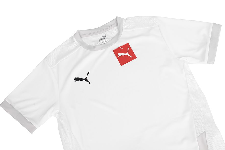 PUMA Kinder T-Shirt teamGOAL 23 Jersey 704160 04