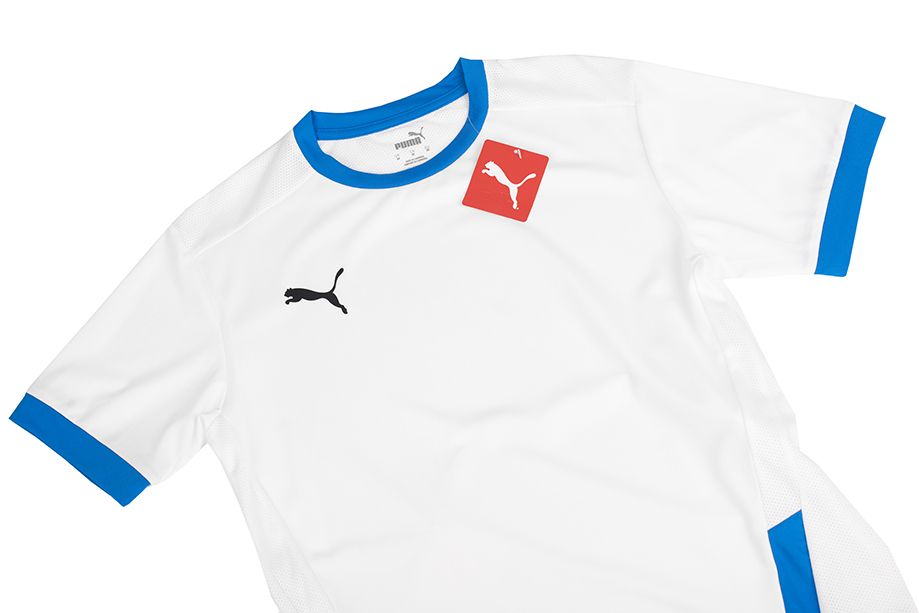 PUMA Kinder T-Shirt teamGOAL 23 Jersey 704160 12