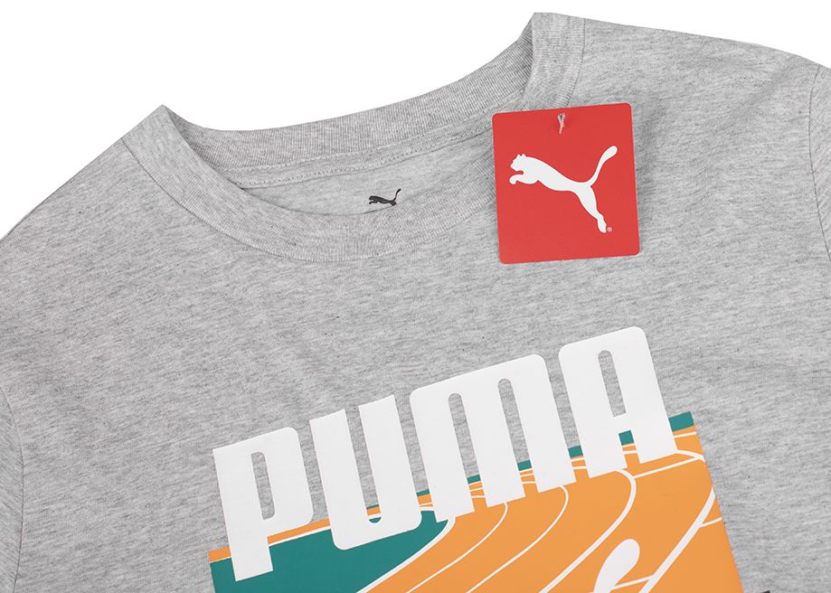 PUMA Herren T-Shirt GRAPHICS Summer Sports Tee II 627909 04