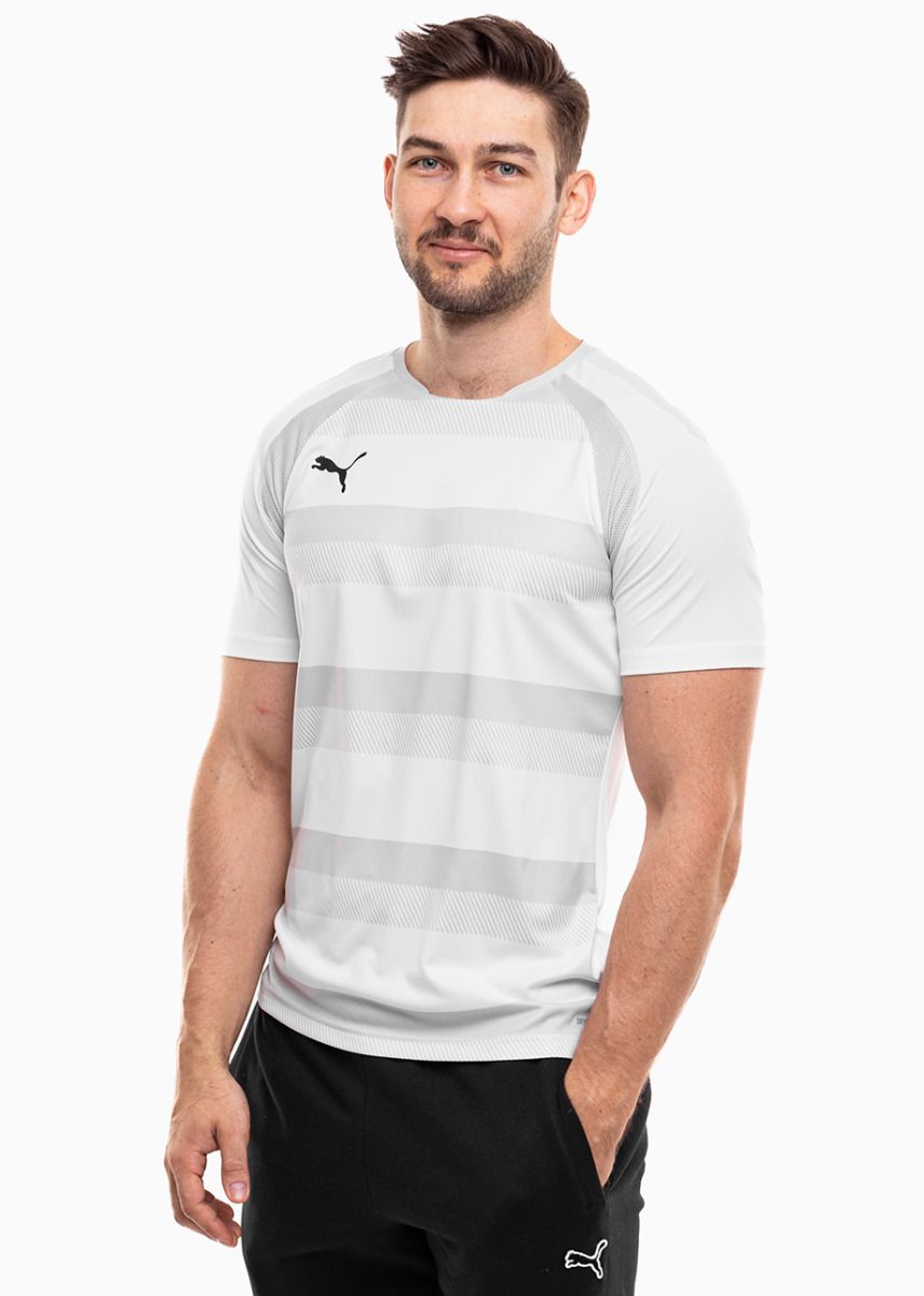 PUMA Herren T-Shirt teamVISION Jersey 704921 04