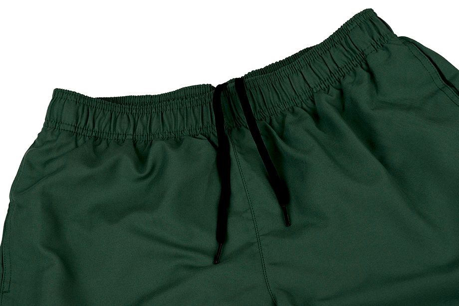 Nike Shorts Herren Volley NESSA560 303