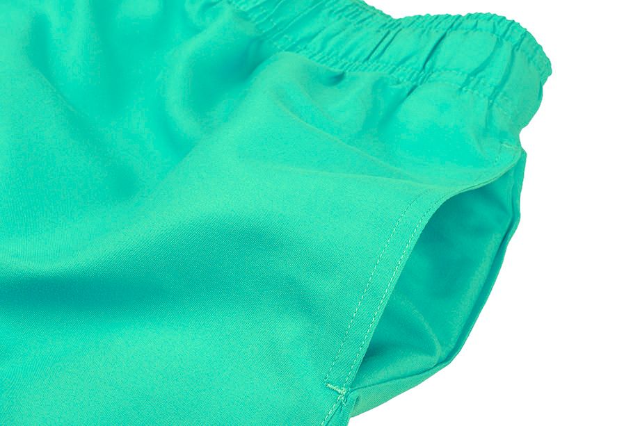 Nike Shorts Herren Volley NESSA560 315