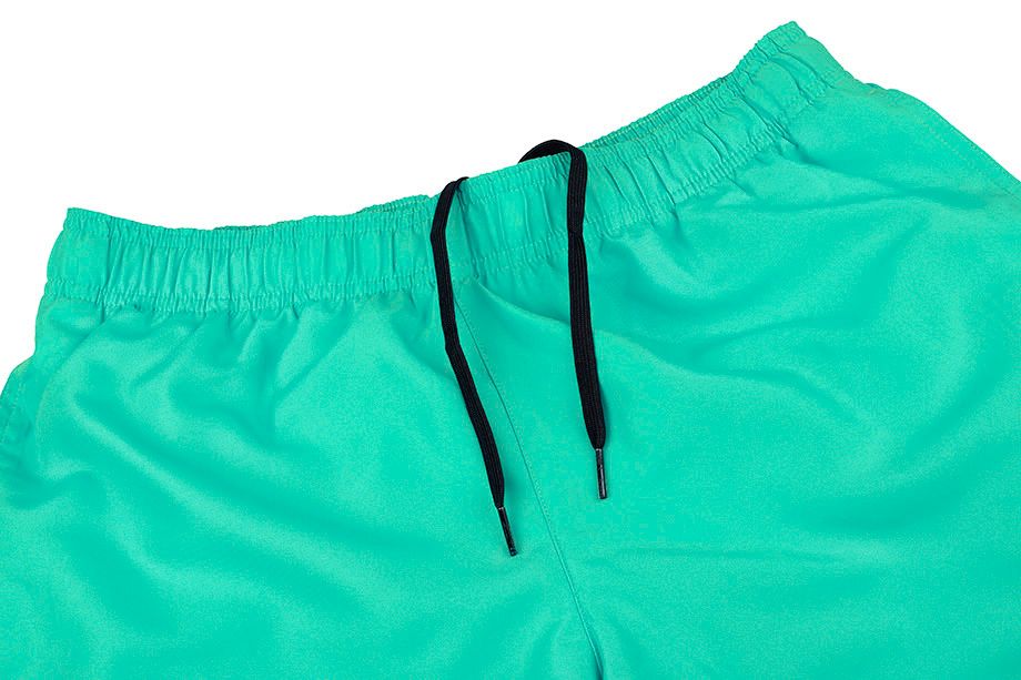 Nike Shorts Herren Volley NESSA560 315