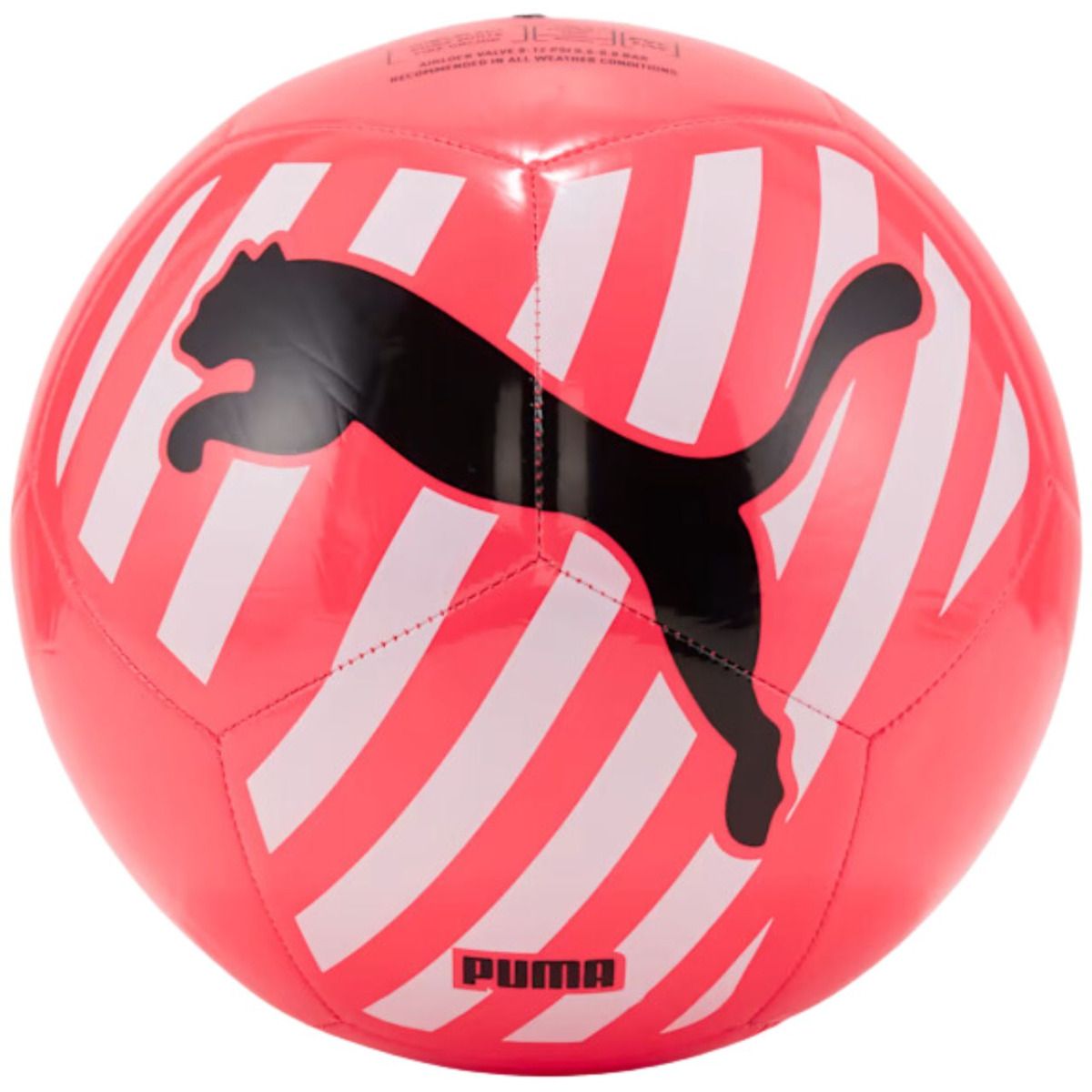 PUMA Fußball Big Cat 83994 05