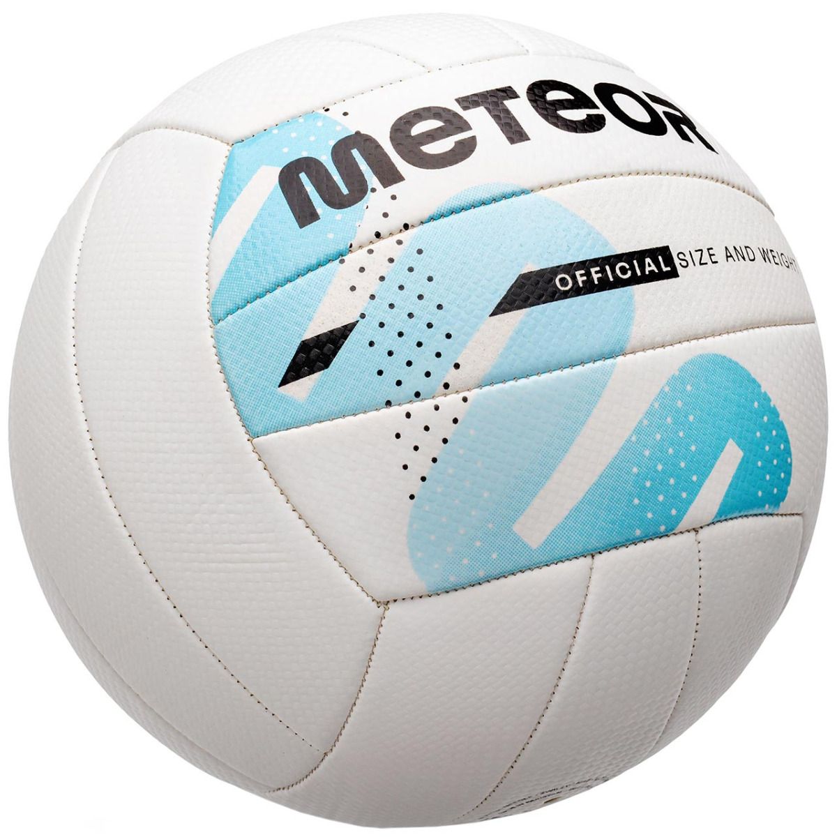 Meteor Volleyball 16453
