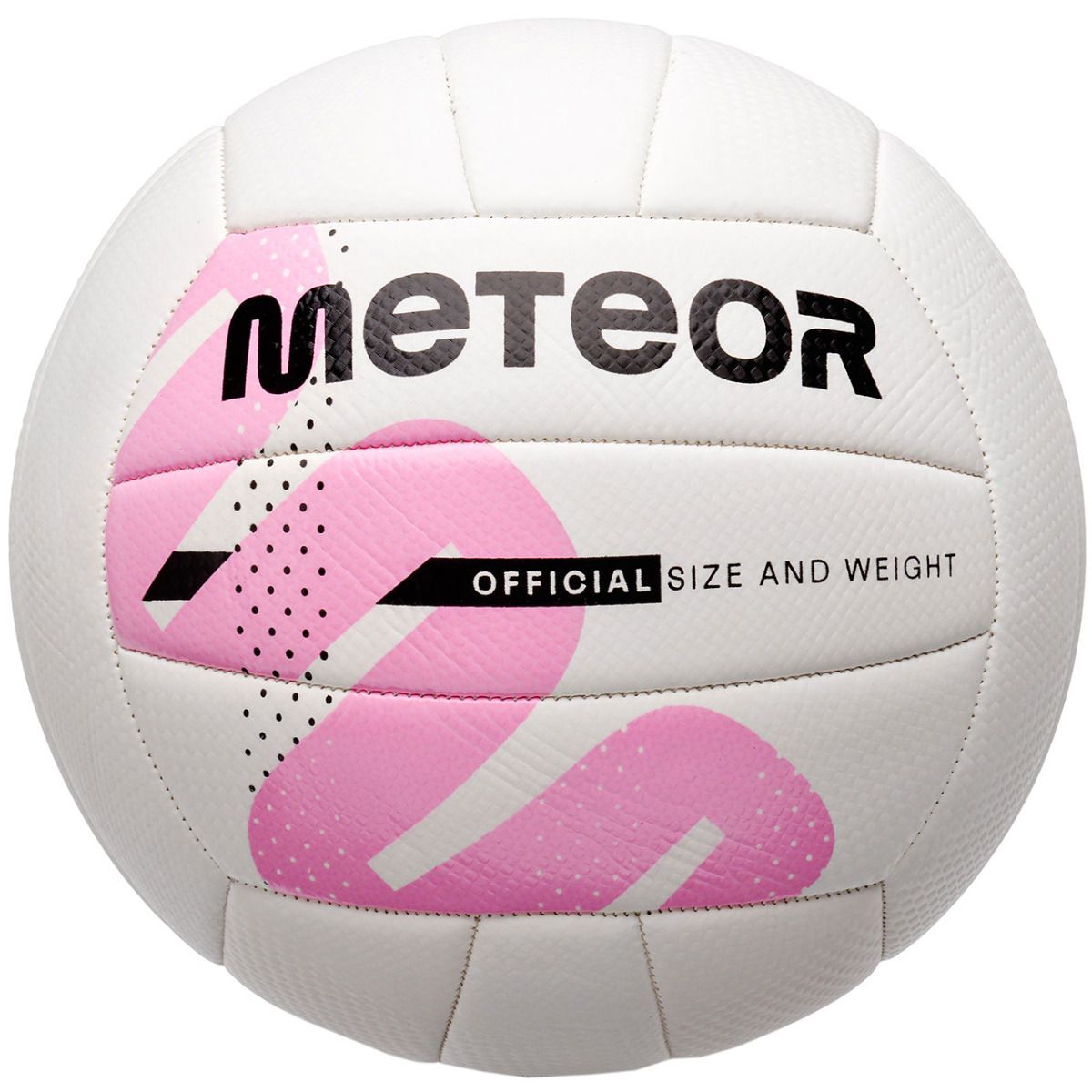Meteor Volleyball 16451