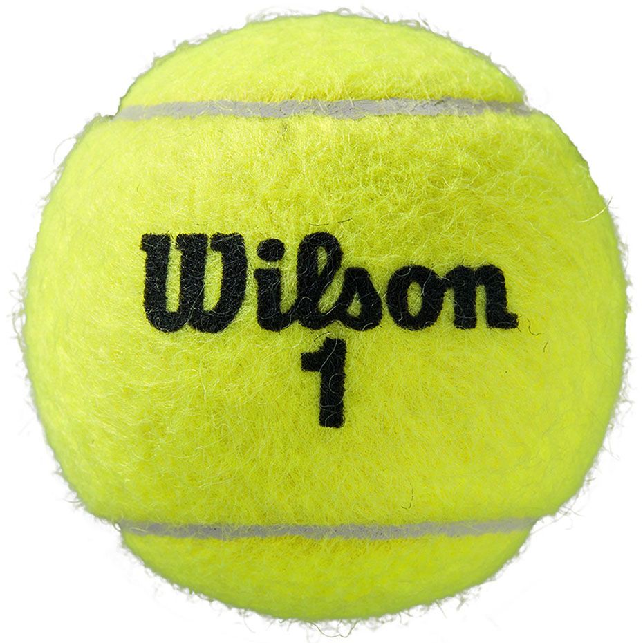 Wilson Tennisbälle Roland Garros All Court 3pcs WRT126400