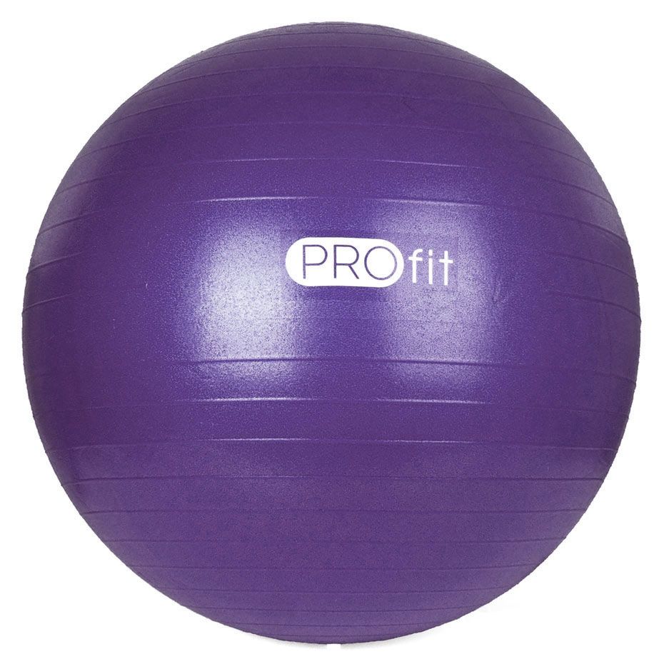 Profit Gymnastikball mit Luftpumpe 55 cm DK 2102 1