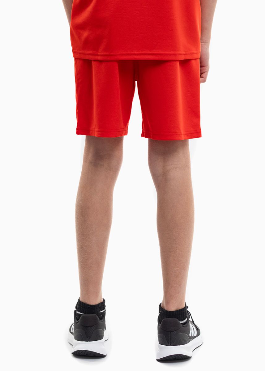PUMA Kinder Sport-Set T-shirt Kurze Hose teamRISE Jersey Jr 704938 01/704943 01 PUMA Kinder Sport-Set T-shirt Kurze Hose teamRISE Jersey Jr 704938 01/704943 01