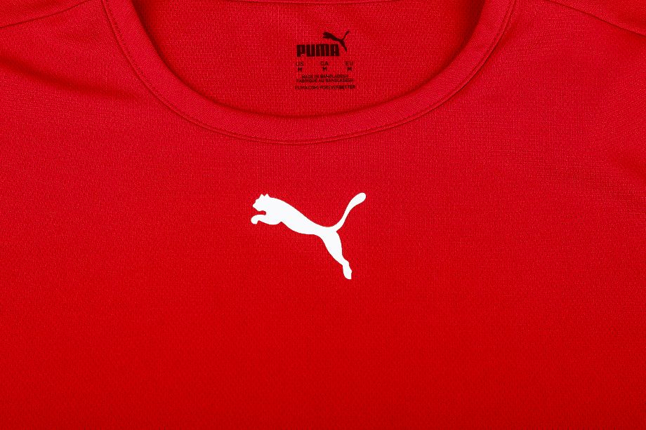 PUMA Kinder Sport-Set T-shirt Kurze Hose teamRISE Jersey Jr 704938 01/704943 01