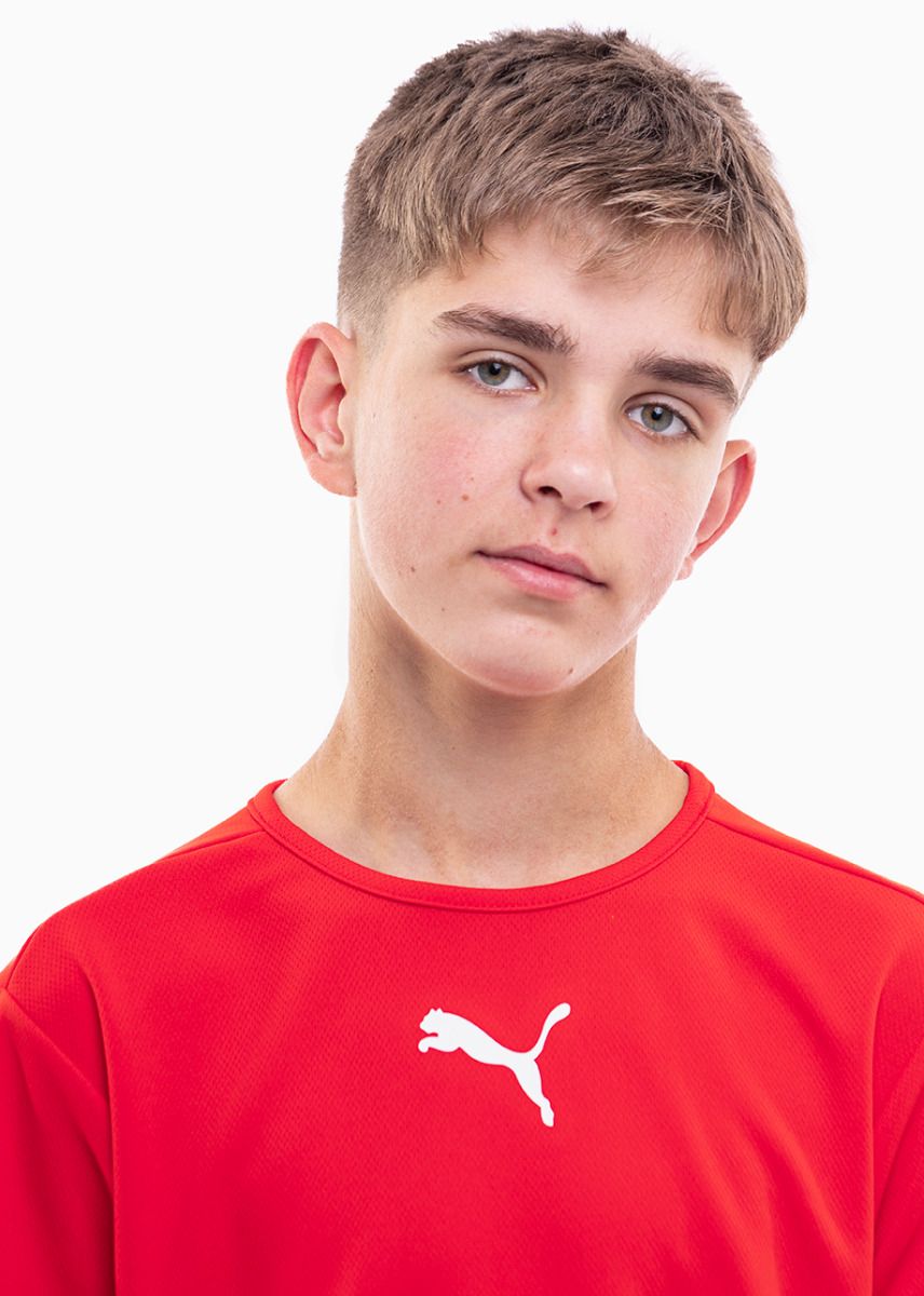 PUMA Kinder Sport-Set T-shirt Kurze Hose teamRISE Jersey Jr 704938 01/704943 04 PUMA Kinder Sport-Set T-shirt Kurze Hose teamRISE Jersey Jr 704938 01/704943 04