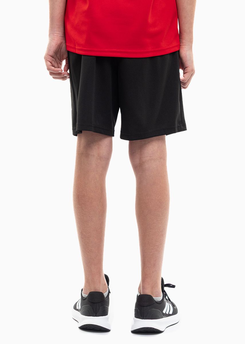 PUMA Kinder Sport-Set T-shirt Kurze Hose teamRISE Jersey Jr 704938 01/704943 04 PUMA Kinder Sport-Set T-shirt Kurze Hose teamRISE Jersey Jr 704938 01/704943 04