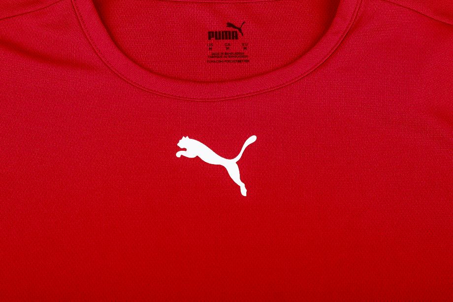 PUMA Kinder Sport-Set T-shirt Kurze Hose teamRISE Jersey Jr 704938 01/704943 04