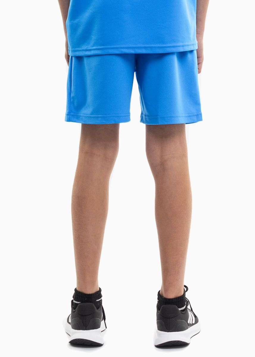 PUMA Kinder Sport-Set T-shirt Kurze Hose teamRISE Jersey Jr 704938 02/704943 02 PUMA Kinder Sport-Set T-shirt Kurze Hose teamRISE Jersey Jr 704938 02/704943 02
