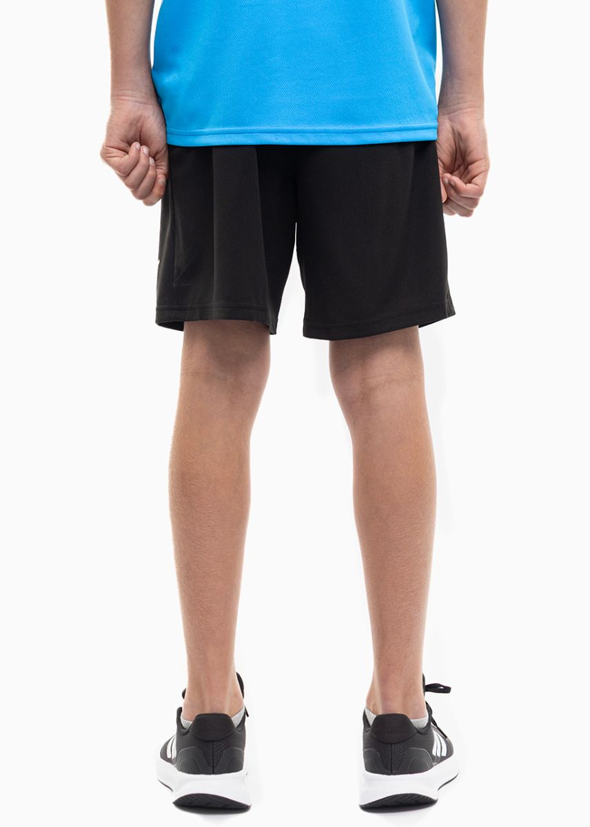PUMA Kinder Sport-Set T-shirt Kurze Hose teamRISE Jersey Jr 704938 02/704943 04 PUMA Kinder Sport-Set T-shirt Kurze Hose teamRISE Jersey Jr 704938 02/704943 04
