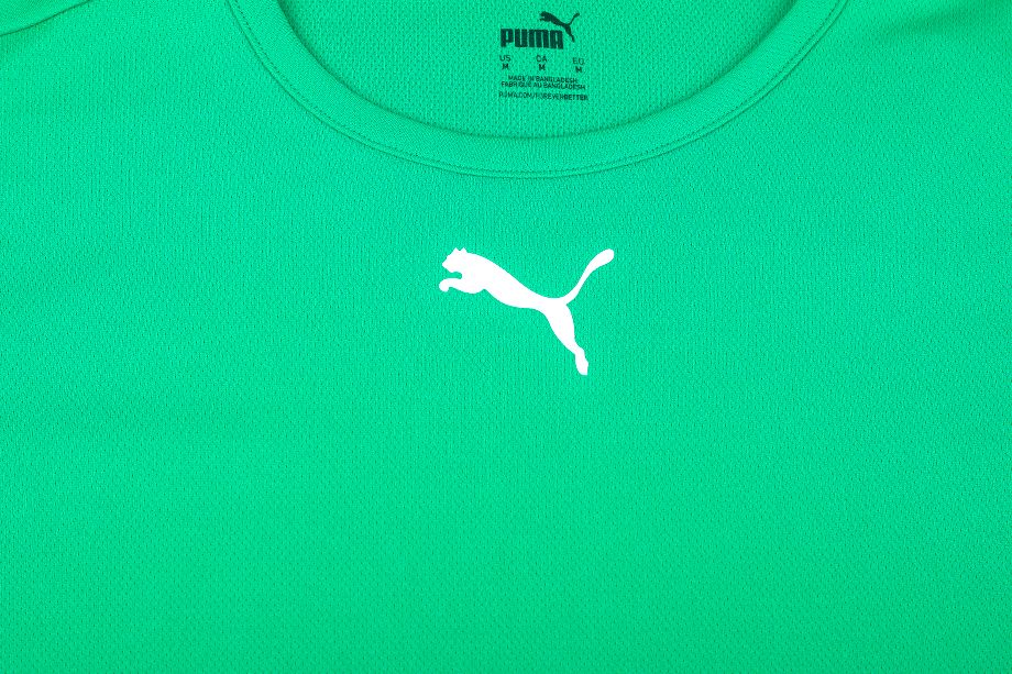 PUMA Kinder Sport-Set T-shirt Kurze Hose teamRISE Jersey Jr 704938 05/704943 04