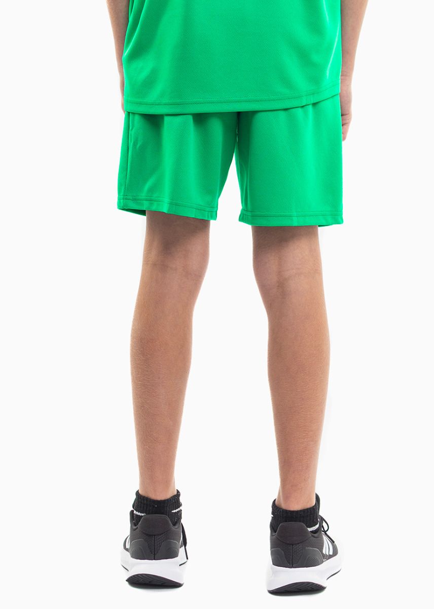 PUMA Kinder Sport-Set T-shirt Kurze Hose teamRISE Jersey Jr 704938 05/704943 05 PUMA Kinder Sport-Set T-shirt Kurze Hose teamRISE Jersey Jr 704938 05/704943 05