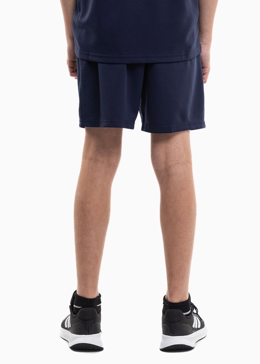 PUMA Kinder Sport-Set T-shirt Kurze Hose teamRISE Jersey Jr 704938 06/704943 06 PUMA Kinder Sport-Set T-shirt Kurze Hose teamRISE Jersey Jr 704938 06/704943 06
