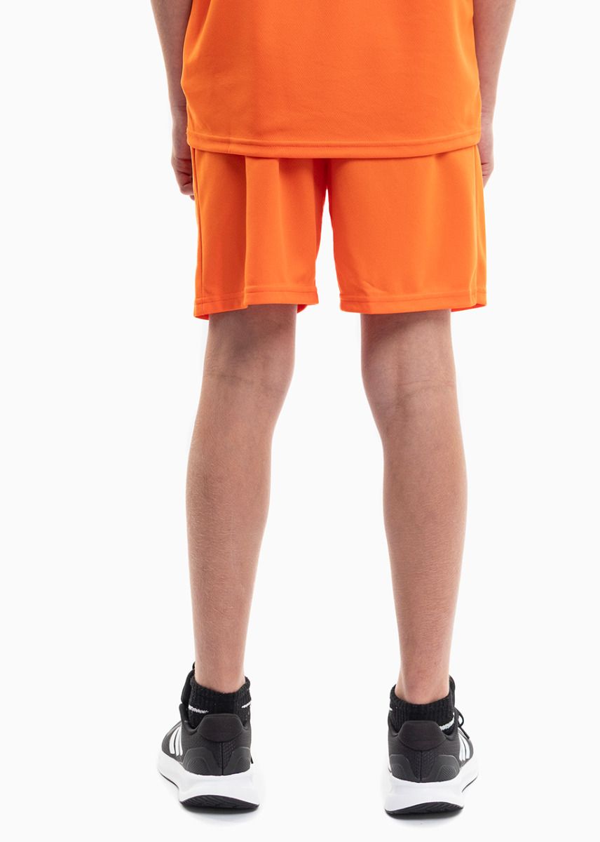 PUMA Kinder Sport-Set T-shirt Kurze Hose teamRISE Jersey Jr 704938 08/704943 08 PUMA Kinder Sport-Set T-shirt Kurze Hose teamRISE Jersey Jr 704938 08/704943 08